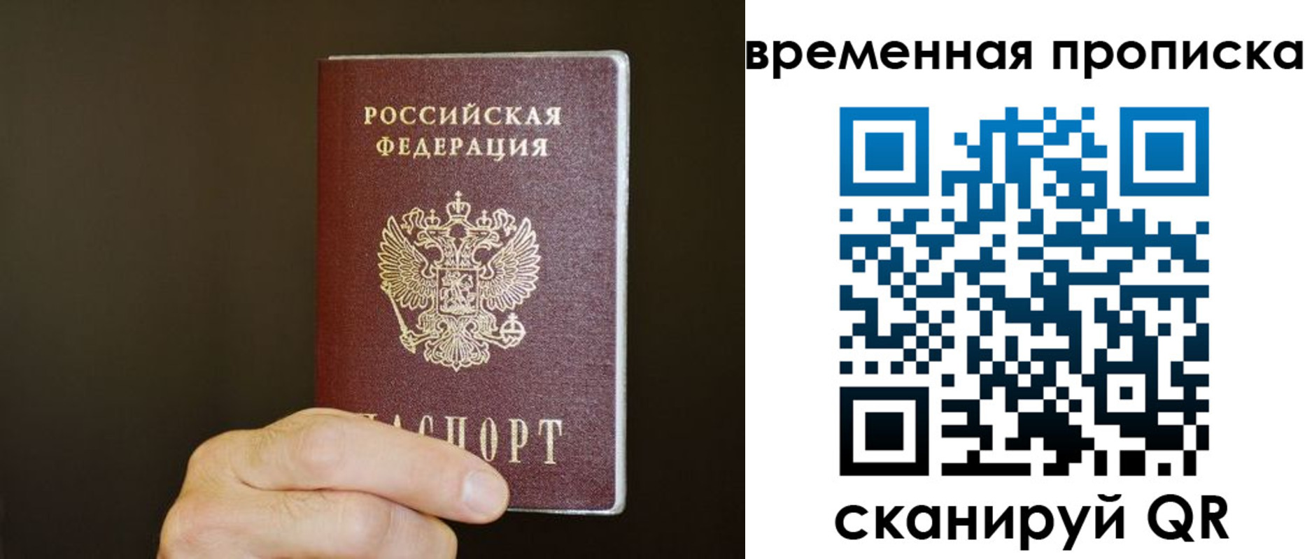 регистрация для школы в Петропавловске-Камчатском